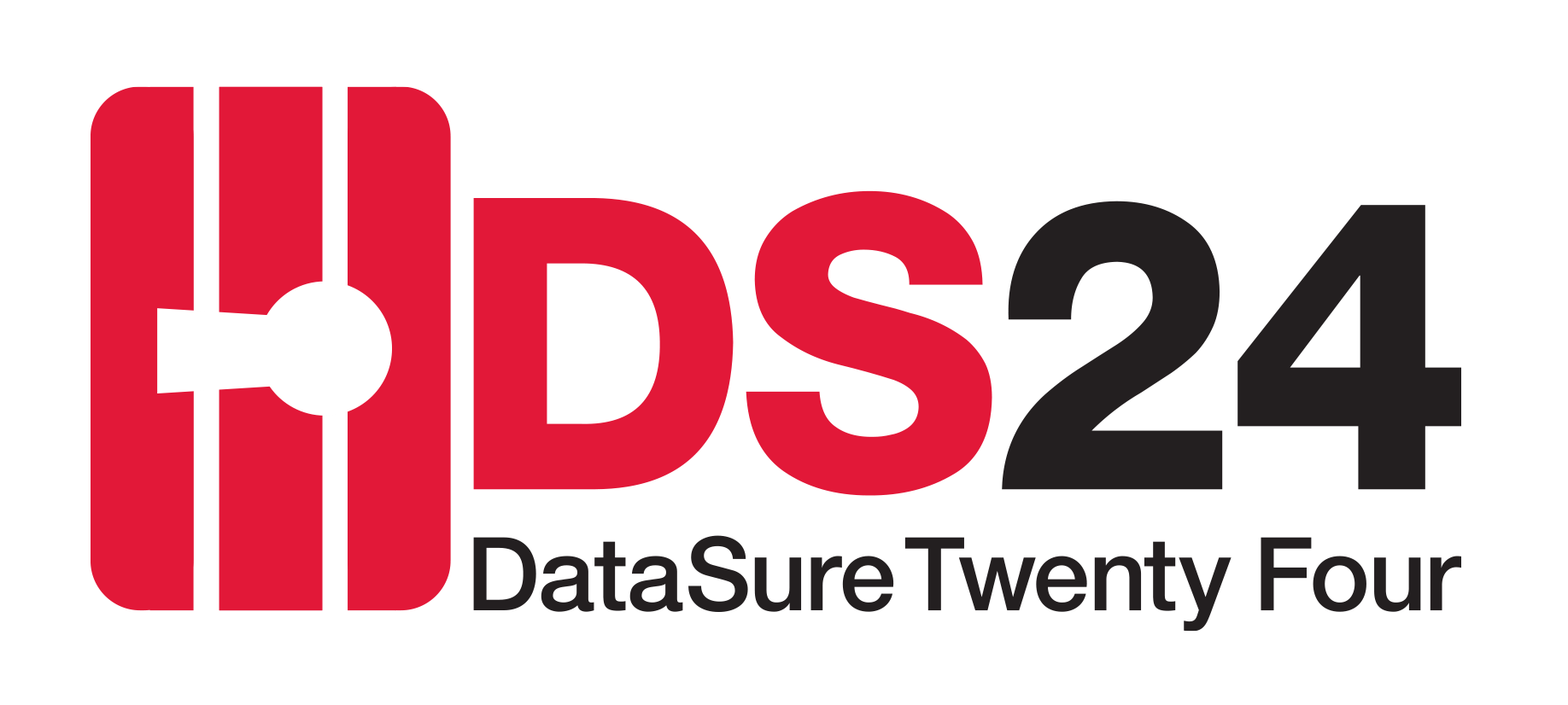 DataSure24 logo