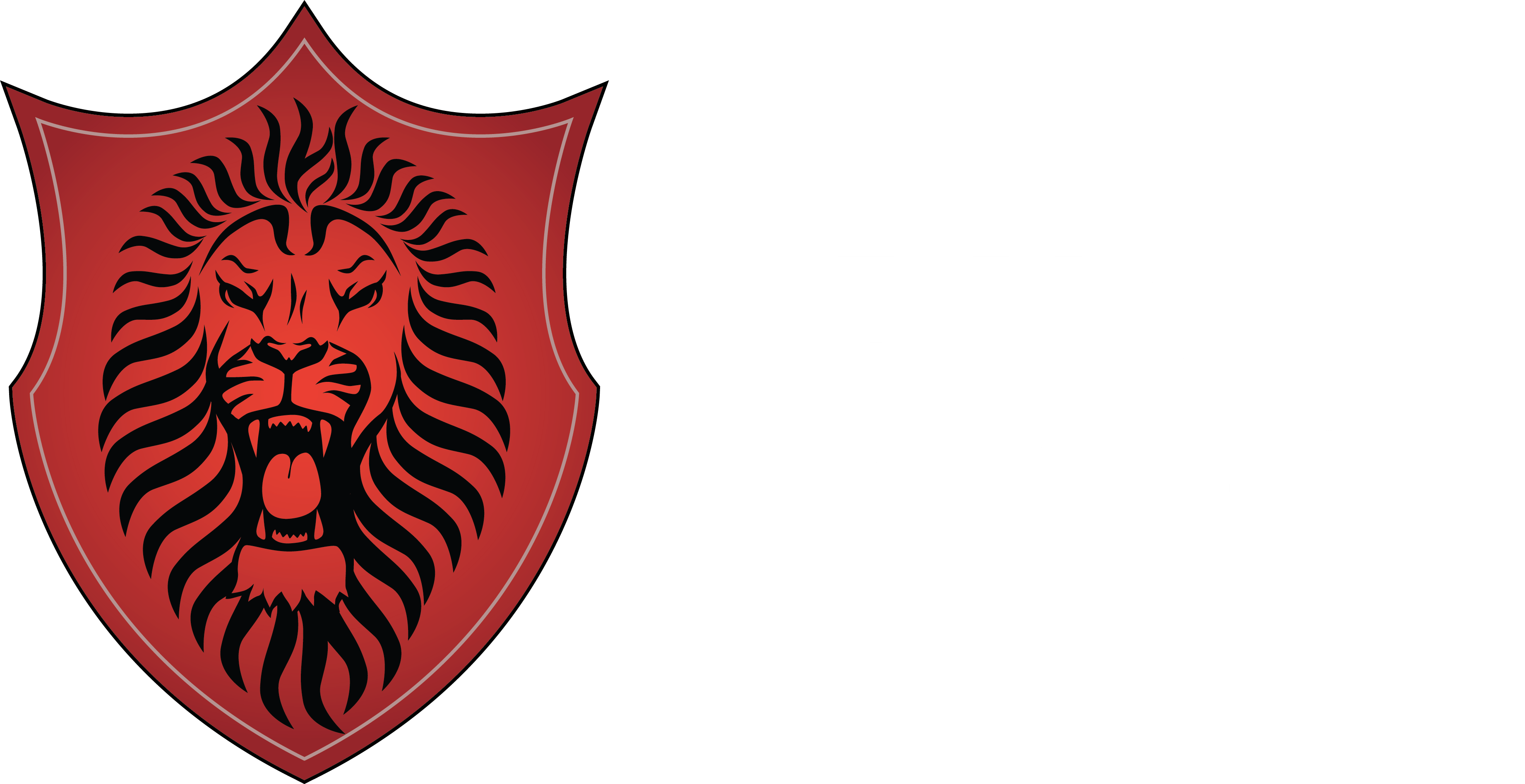 RNS Technology Services logo